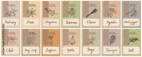 Spice packaging design set with hand-drawn herb sketches on pastel backgrounds. Food label stickers for jars and containers featuring pepper, paprika, garlic, saffron, chili, dill