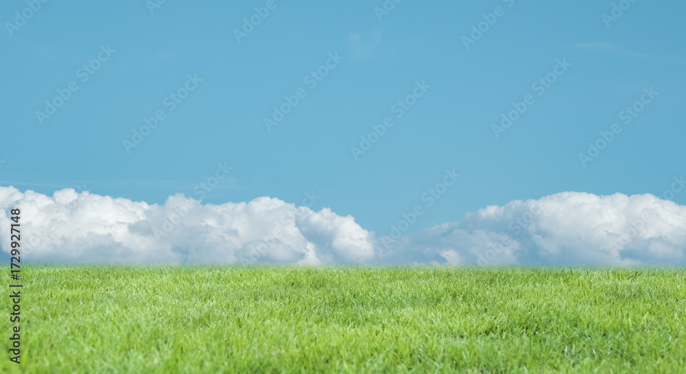 Obraz premium 河川敷の土手、高台さわやかな青空と緑の草原・芝生の背景壁紙 アウトドア・スポーツ・行楽・レジャー・旅行・遠足・運動会の背景 