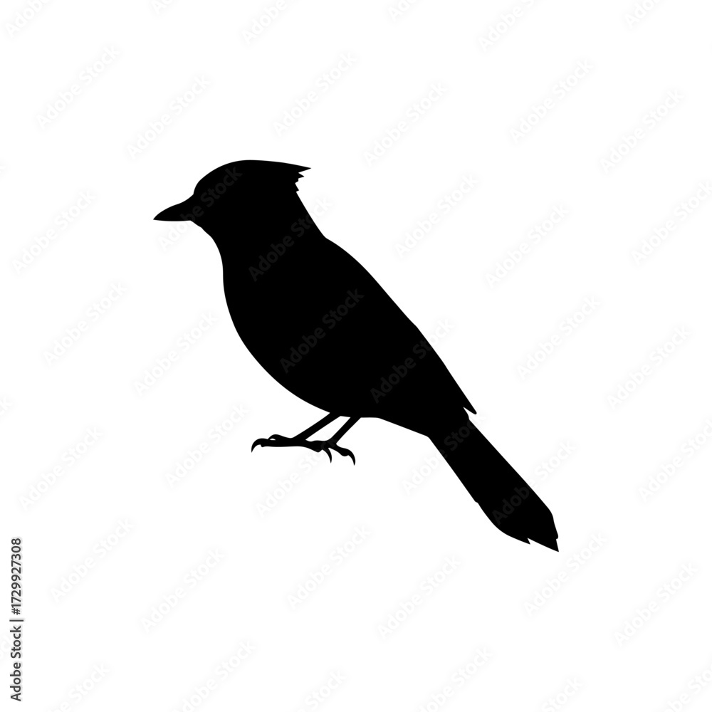 Obraz premium Blue jay bird silhouette vector flat illustration design.
