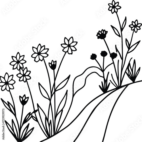 wildflowers on a hillside path line art on transparent background