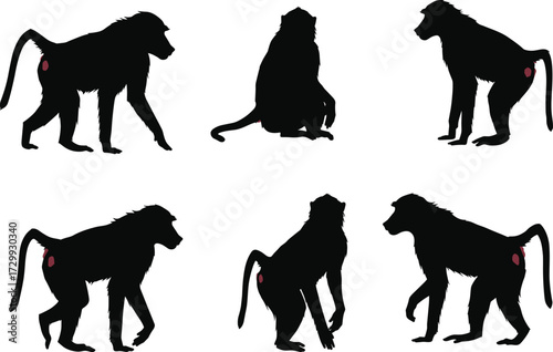 Baboon silhouette vector collection, wild monkey illustration, African primate design, walking, sitting, standing poses, black and white animal artwork