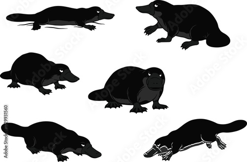 Cartoon platypus illustration set, cute animal drawing collection, wildlife clipart design, monotreme vector art, Australian animal artwork, playful platypus graphics