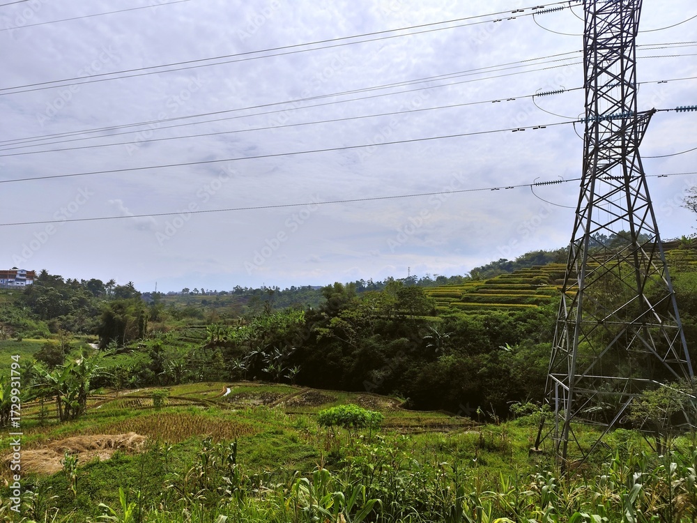 Obraz premium Serene Outdoor Landscape with Lush Terraced Rice Field and Transmission Tower