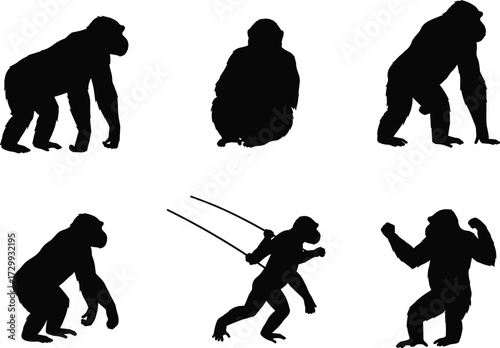 Chimpanzee silhouette vector set, monkey walking, sitting, climbing, swinging, ape illustration, jungle wildlife graphic, black primate artwork, animal design
