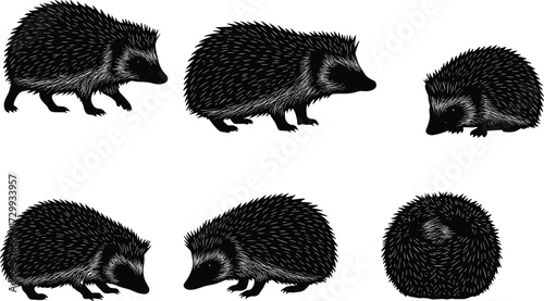 Hedgehog silhouette vector illustration set, spiny animal clipart, curled defensive pose, wildlife drawing, woodland mammal design, nature art collection