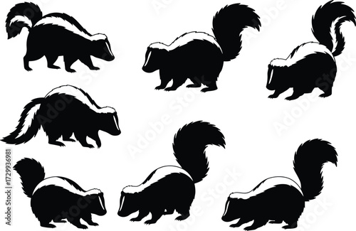 Skunk silhouette vector collection, black and white animal design, walking, sitting, tail up, wildlife illustration, nature mammal art, woodland character