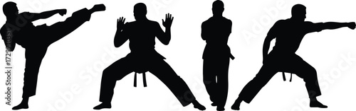 Martial arts silhouette, karate pose vector, taekwondo kick illustration, self defense stance, combat training icon, cad drawing flat vector illustration