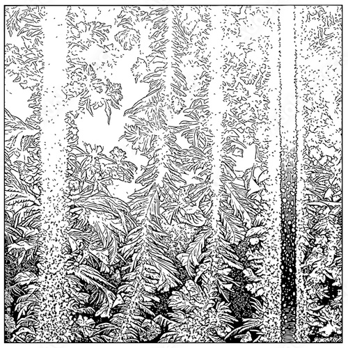 Frost patterns on glass vector black and white texture. A realistic depiction of natural frozen patterns.
