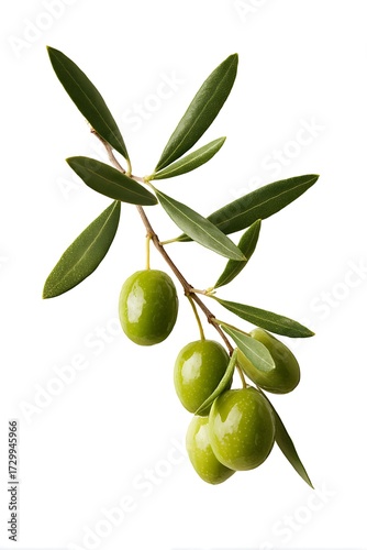 Wallpaper Mural Healthy and Green Olive Food Torontodigital.ca