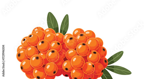 A close up view of bright orange sea buckthorn berries with green leaves.