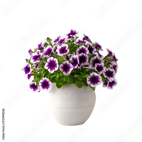 Wallpaper Mural Lush purple and white flowers png Torontodigital.ca