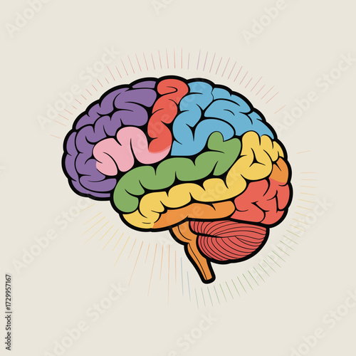 Colorful human brain lobe diagram flat design concept anatomical medical science neurology mind intelligence illustration