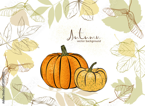 1580_Vector autumn background with textured pumpkins, leaves and maple keys