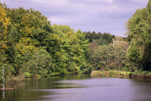 Tranquil River Flowing Through Lush Forest Under Overcast Sky