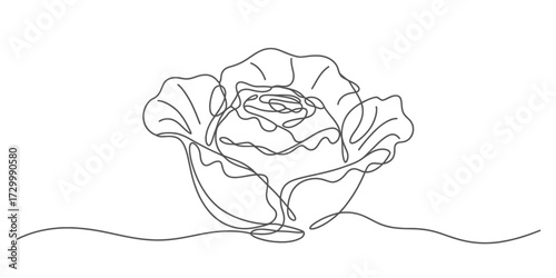 Single continuous line drawing of a delicate flower blossom vector illustration vector