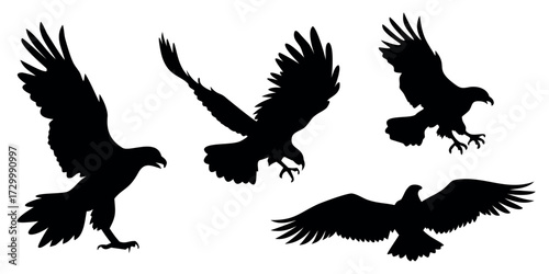 Vector Silhouette Set of Birds of Prey Eagle Hawk and Falcon Poses