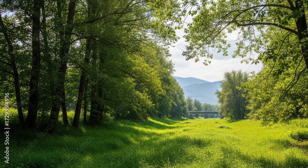 Fototapeta premium Sunlit forest path with lush green trees and rolling hills in the distance