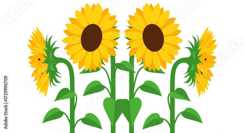 A symmetrical arrangement of several bright yellow sunflowers with green stems and leaves, presented on a white background.