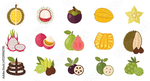 Collection of exotic tropical fruits, including durian, lychee, mangosteen, star fruit, dragon fruit, passion fruit, guava, jackfruit, salak, longan, jabuticaba