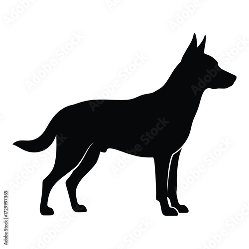 Silhouette of a belgian malinois dog standing alert profile view domestic animal silhouette