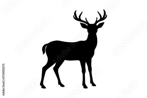 deer vector illustration