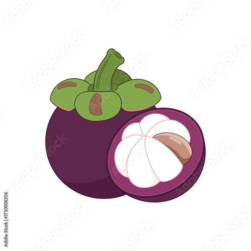 Mangosteen fruit icon logo flat vector design