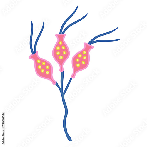 dinobryon protozoa line icon