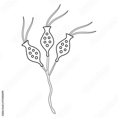 dinobryon protozoa line icon