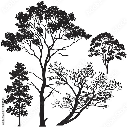 Tree top view outline collection, diverse foliage patterns, ideal for architectural plans, landscape designs, urban planning botanical illustrations, and garden