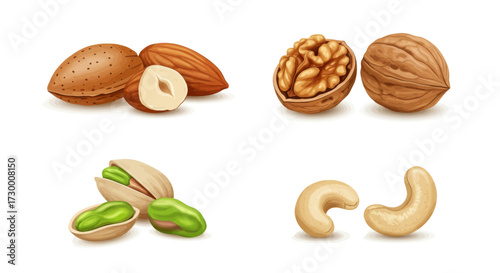 Assorted Nuts Collection Vector Art EPS ICON 447
