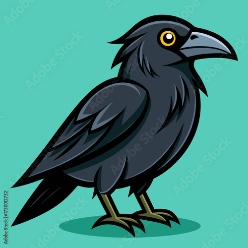 Un beau corbeau Corvus corax, oiseau Nord Pologne Europe