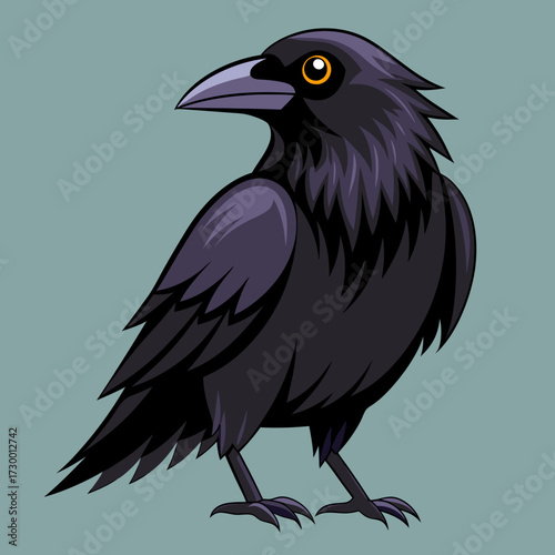 Un beau corbeau Corvus corax, oiseau Nord Pologne Europe