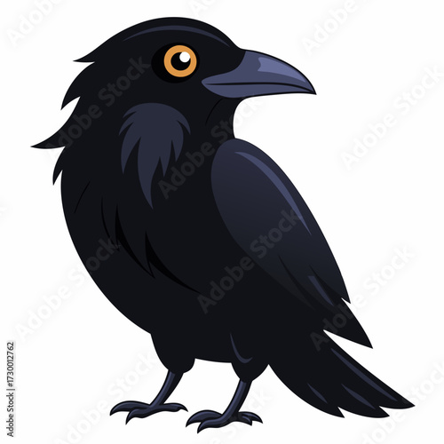 Un beau corbeau Corvus corax, oiseau Nord Pologne Europe