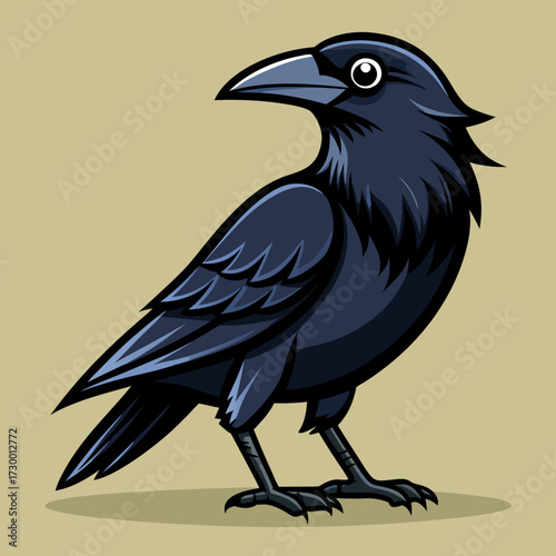 Un beau corbeau Corvus corax, oiseau Nord Pologne Europe