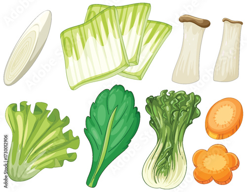 Colorful Asian Vegetables Vector Illustration