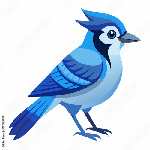 Geai bleu, au garde-corps