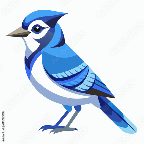 Geai bleu, au garde-corps