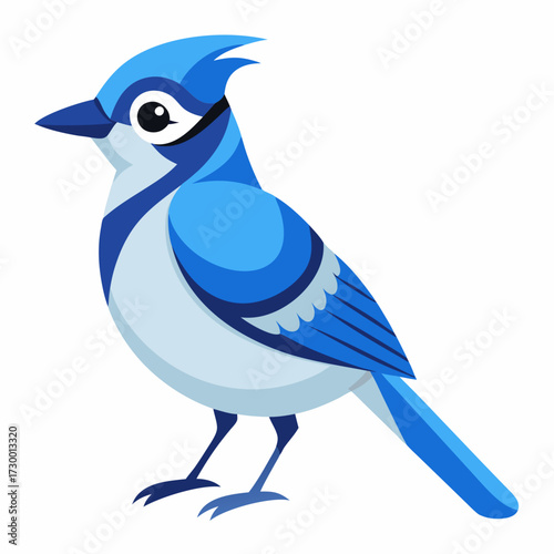 Geai bleu, au garde-corps