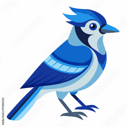 Geai bleu, au garde-corps