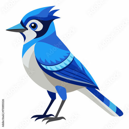 Geai bleu, au garde-corps