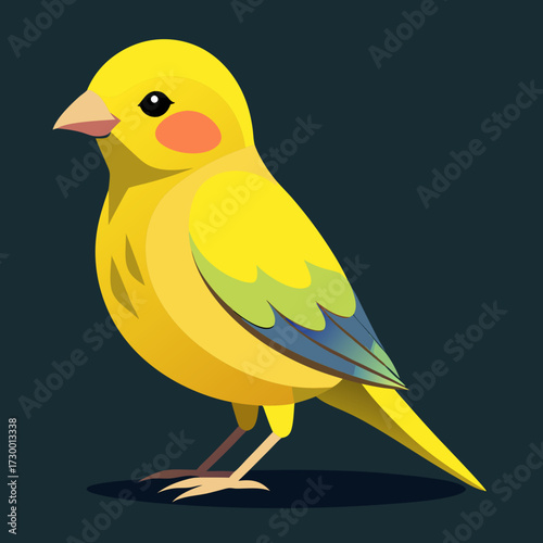 Canari domestique (Serinus Canaria Domestica) - 19ème siècle