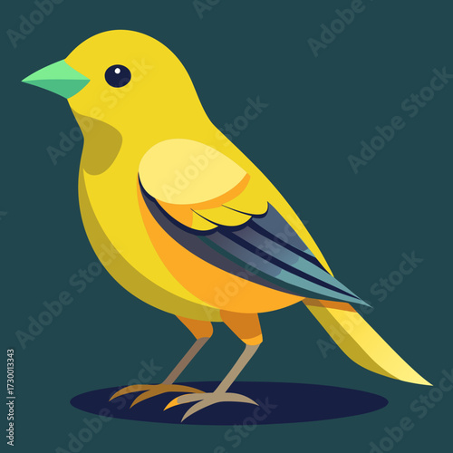 Canari domestique (Serinus Canaria Domestica) - 19ème siècle
