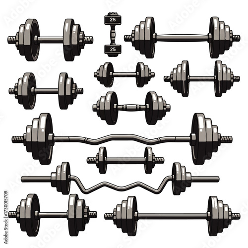 Comprehensive vector collection of classic fitness weightlifting equipment, including adjustable dumbbells, barbells, and curl bars, designed for strength training and gym-themed visuals