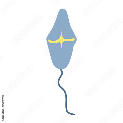 Ptychodiscus