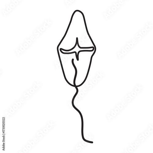 Ptychodiscusn line icon