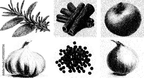Rosemary, cinnamon, apple, and onion featured in a monochrome vector illustration. Realistic representation of herbs and spices in a set.