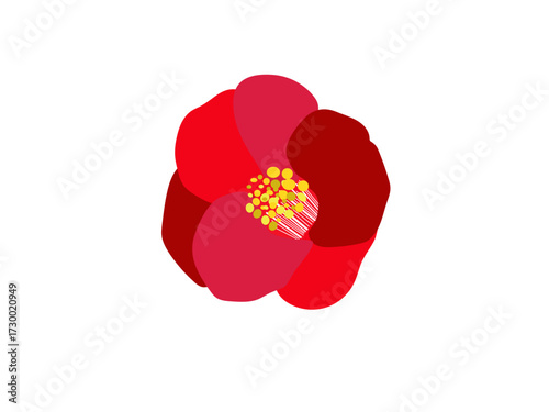とてもシンプルな椿の花4