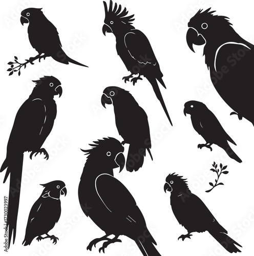 Black silhouette parrot icon set with varied poses, crests, beaks, and tail shapes in tropical bird vector style