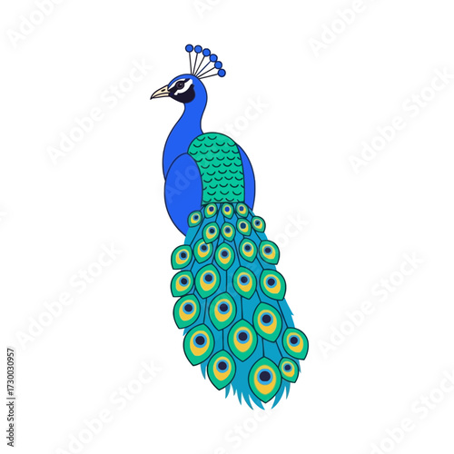 Elegant peacock displaying vibrant plumage against a clean backdrop.