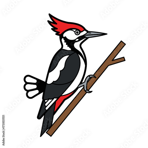 Woodpecker perched on a branch with striking red crest and plumage.